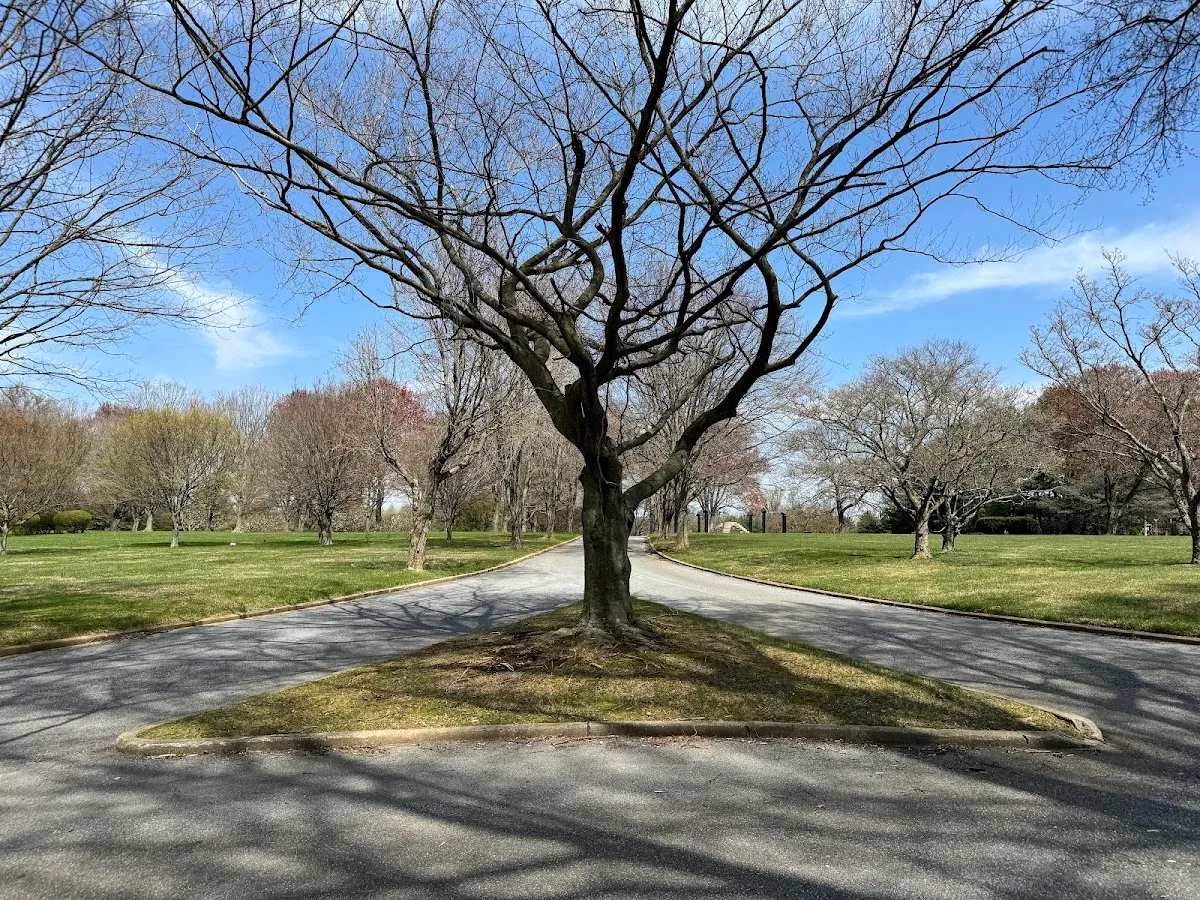 Baltimore Hebrew Berrymans Lane Cemetery — foto 4