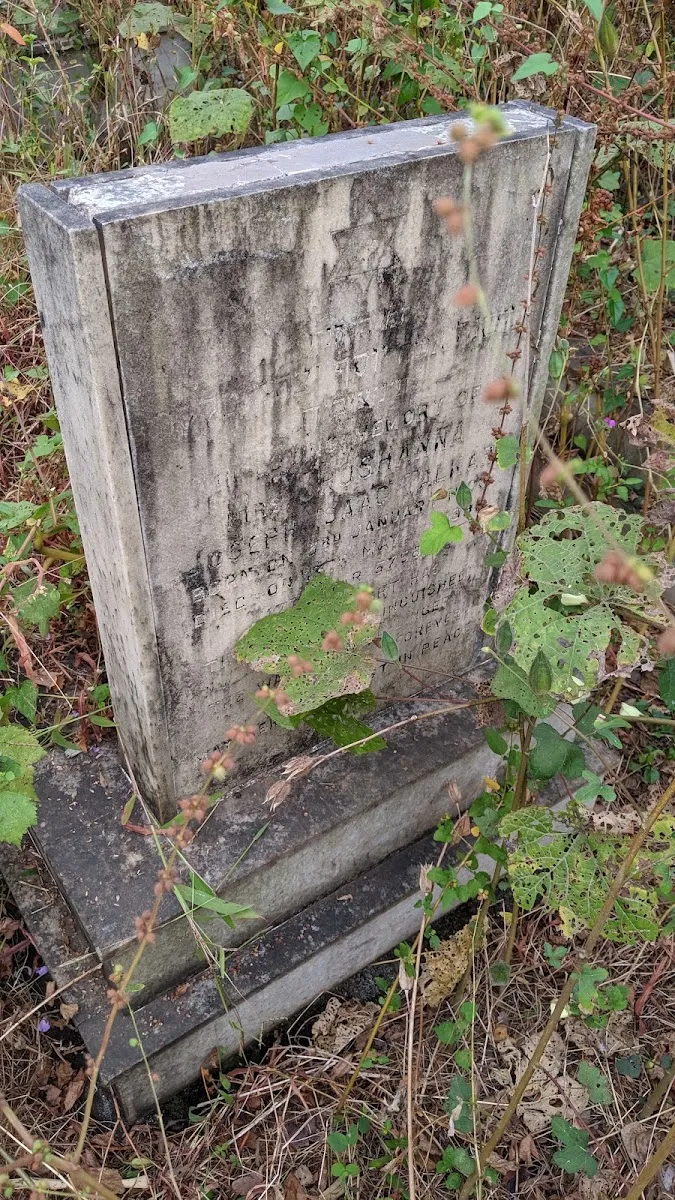 Bandra Bene Israel Jewish Cemetery — photo 3