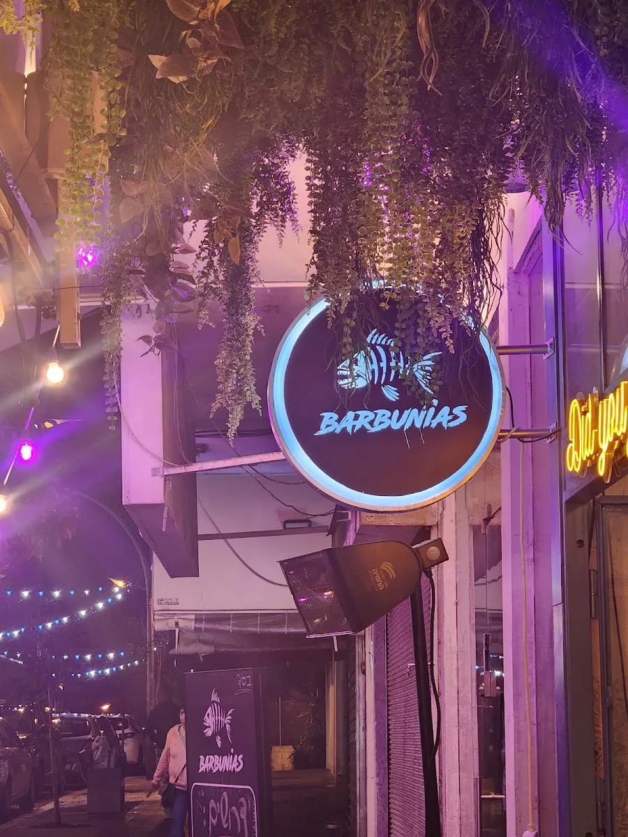 Barbunia Dagim