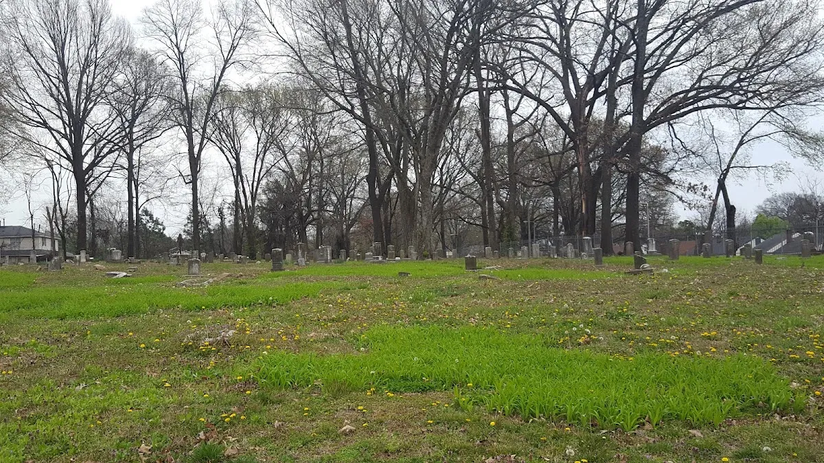 Baron Hirsch Cemetery — foto 4