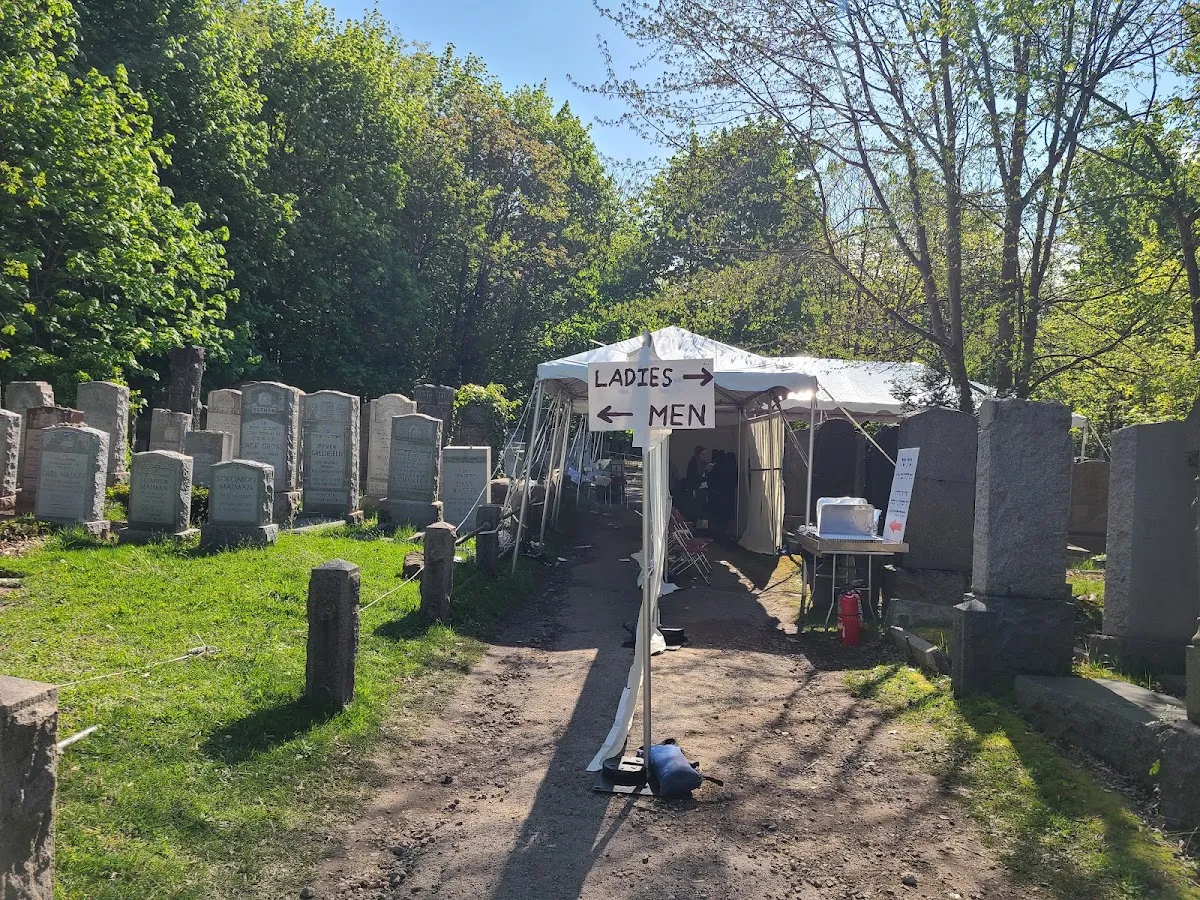 Baron Hirsch Cemetery — photo 4