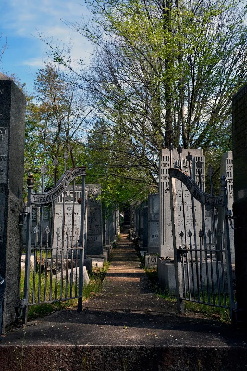 Baron Hirsch Cemetery — photo 7