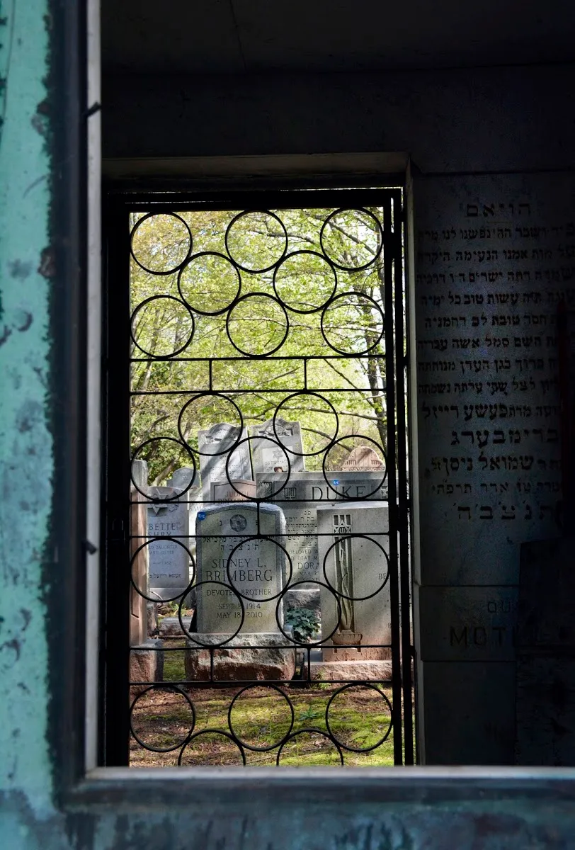 Baron Hirsch Cemetery — photo 10