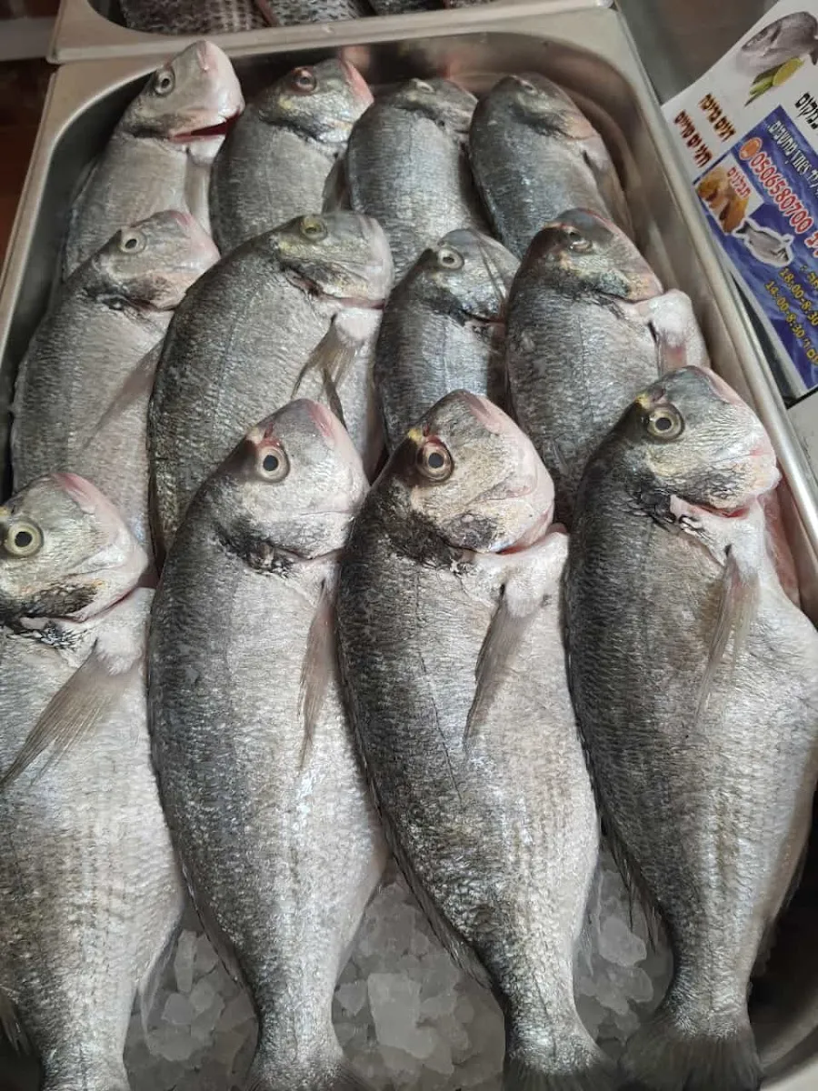 Bat Galim Fish Shop — photo 2