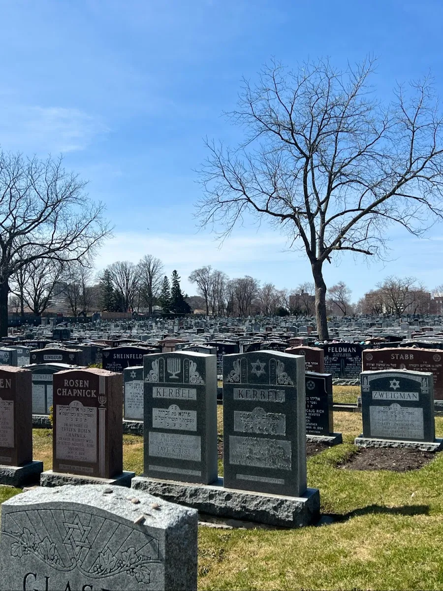 Bathurst Lawn Memorial Park — photo 4
