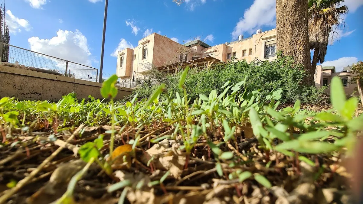 Be'er HaTechiya Yeshiva — foto 10