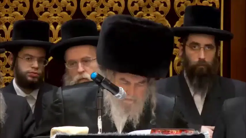 Beis Hamedrash Belz de Belz Terrace — photo 2