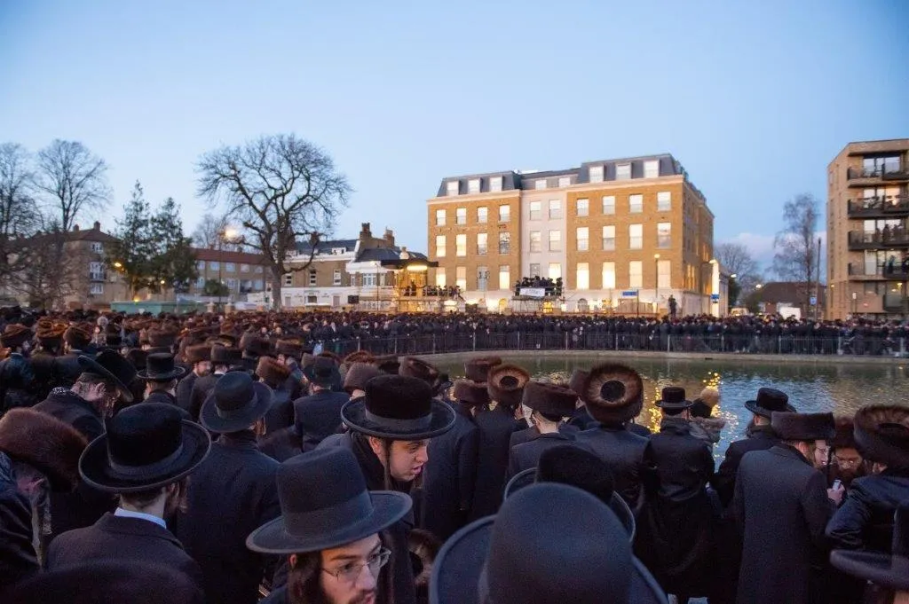 Beis Hamedrash Belz de Belz Terrace — photo 3
