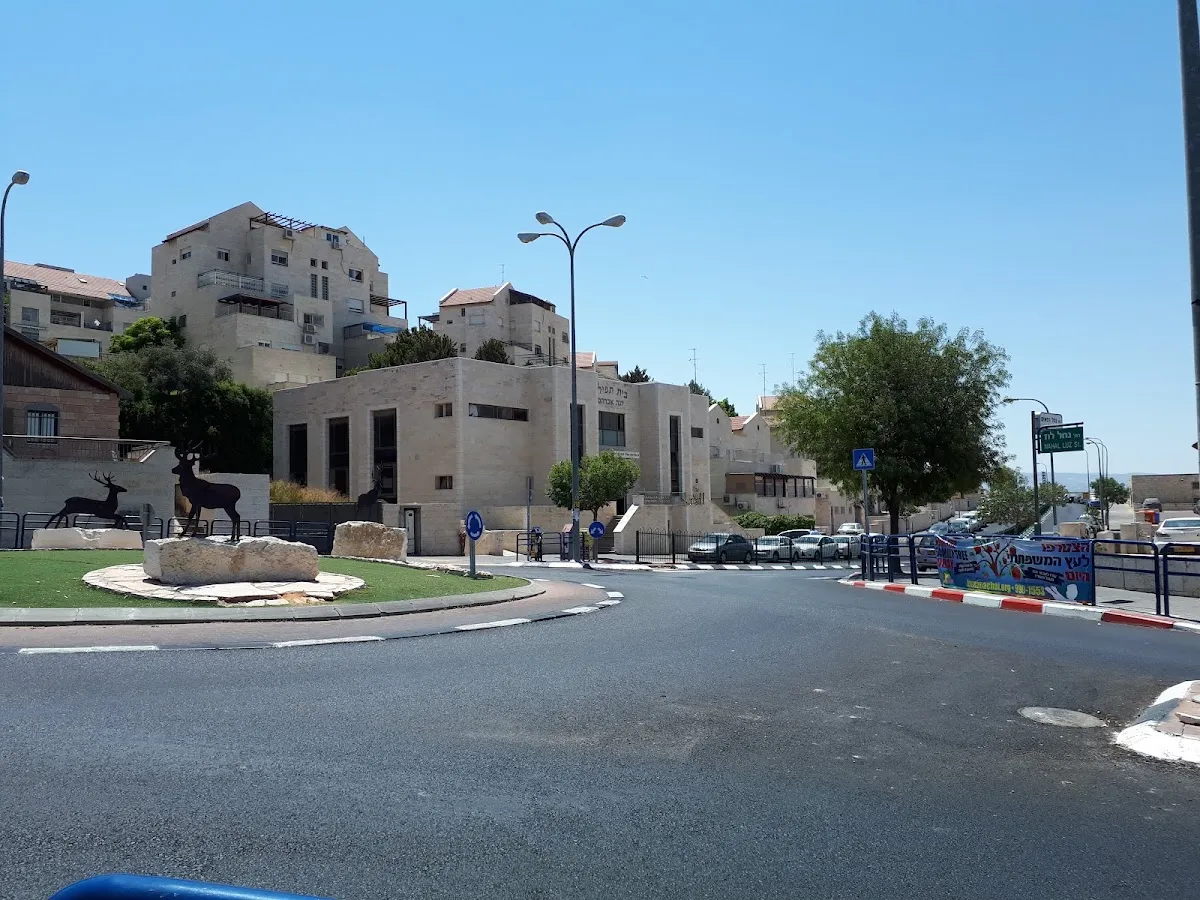 Beis Tefillah Yonah Avraham — foto 10