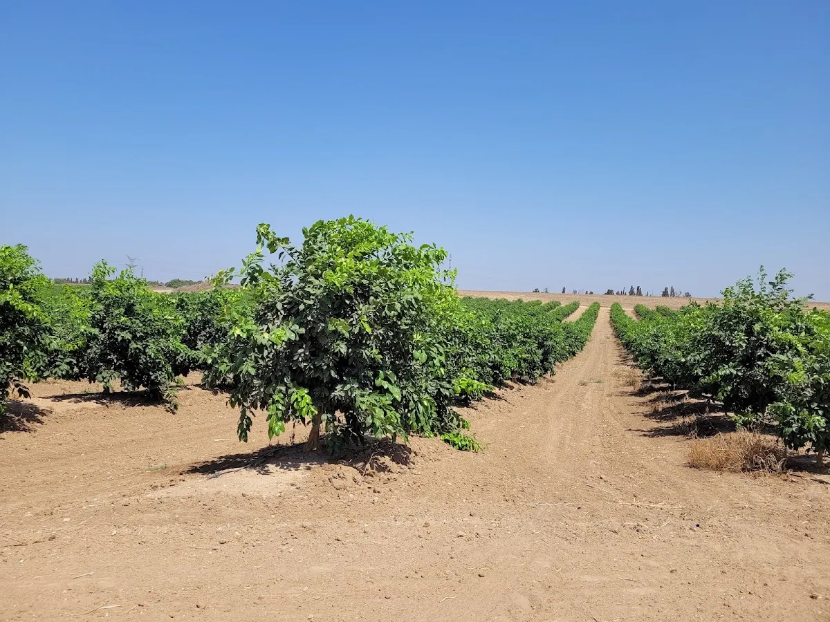 Beit Chabad Ein HaYam Ashkelon — foto 4