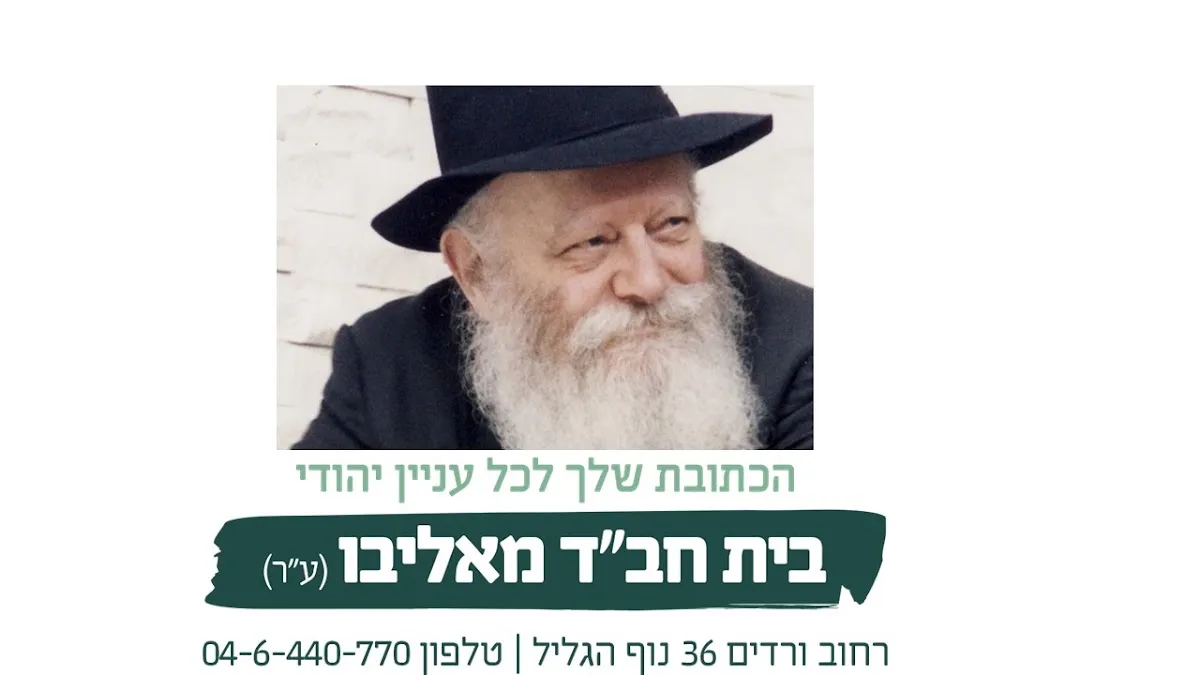 Beit Chabad Malibu Nof HaGalil — foto 7