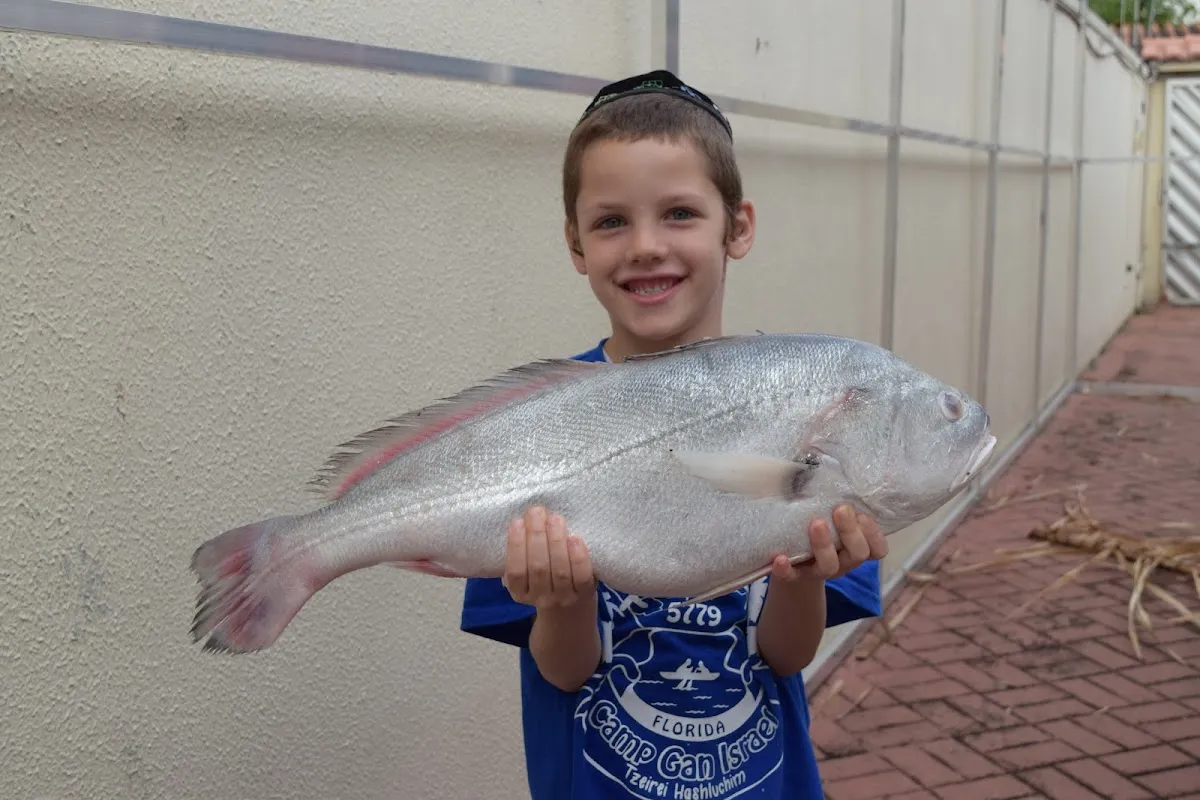 Beit Chabad Manaus — photo 7