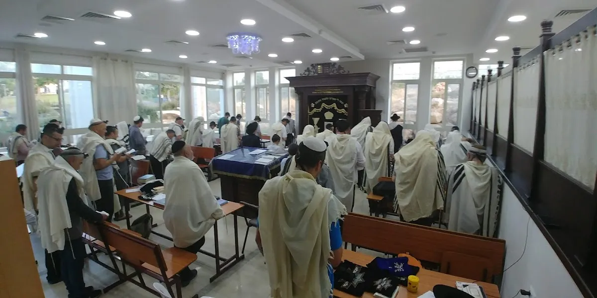 Beit Chabad Pisgat Ze'ev North — foto 8
