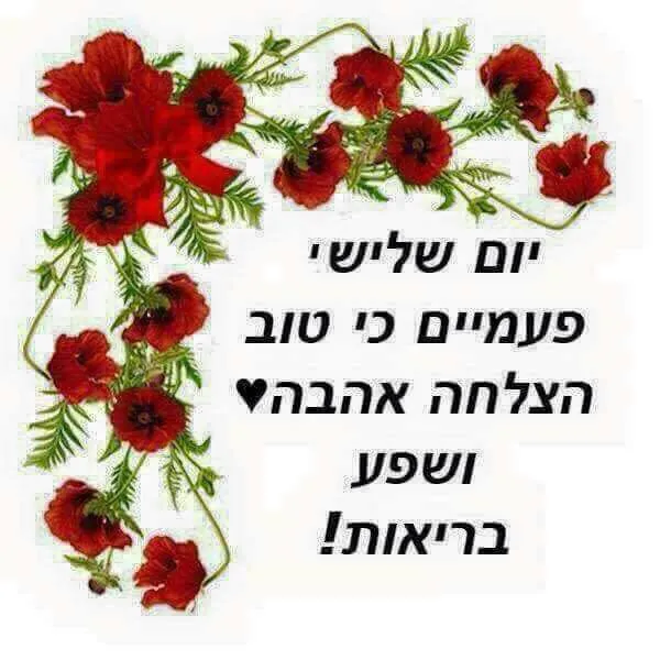 Beit Chabad Tiberias — foto 10