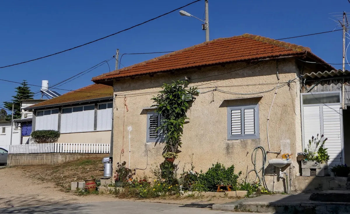 Beit David Synagogue