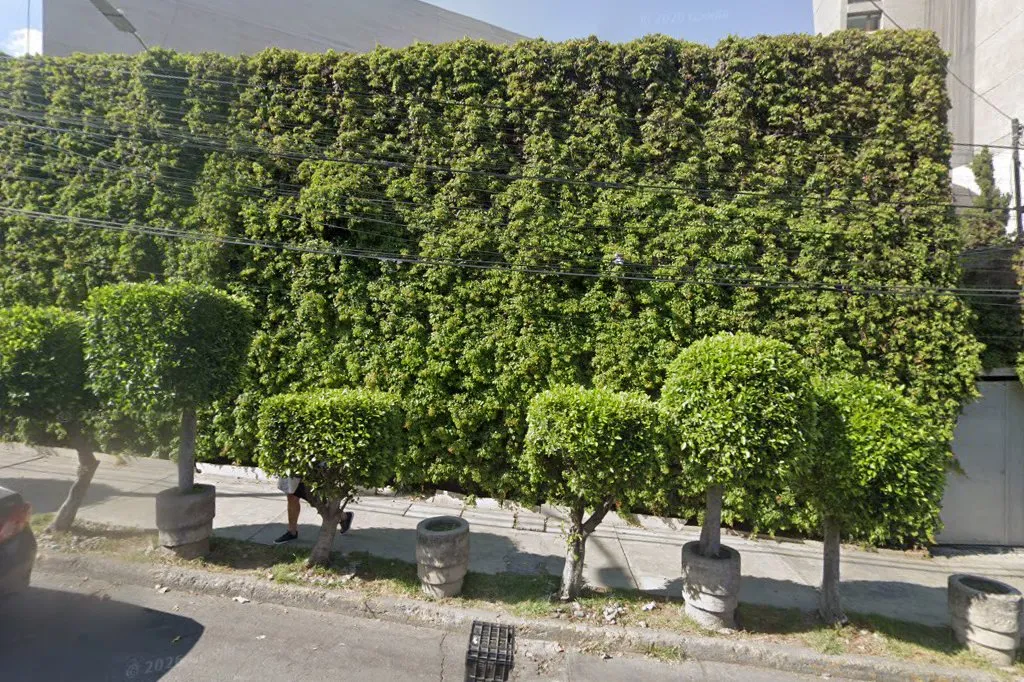 Beit Knesset Pesaj