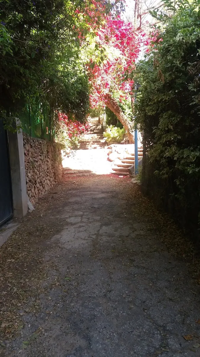 Beit Menachem Chabad Synagogue — foto 2