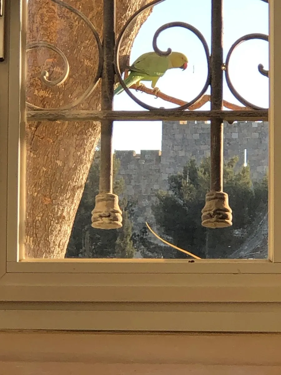Beit Yisrael Synagogue in Yemin Moshe (Ashkenazi) — foto 9