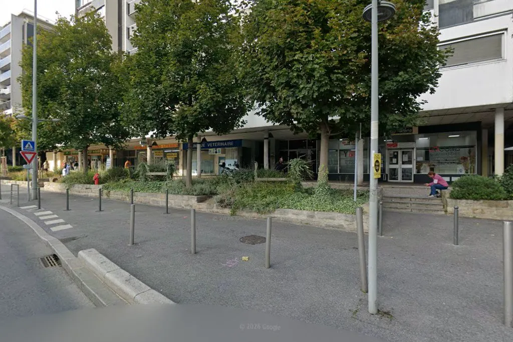 Beith Sandler — photo 3