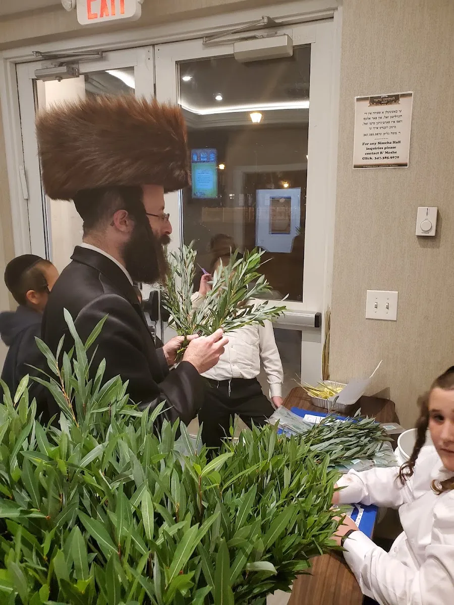 Belz - Shlav Gimel / Locust Grove — photo 2