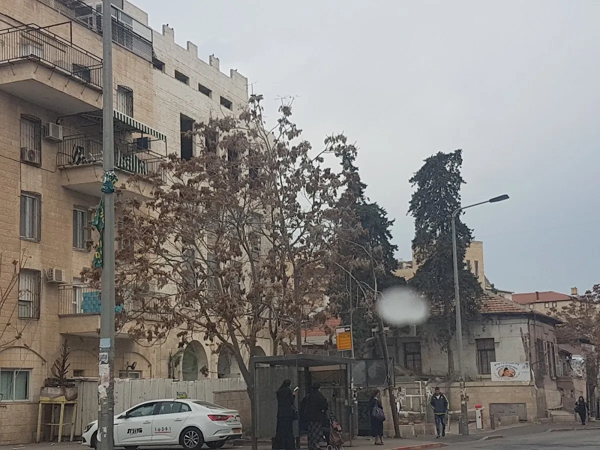 Ben Tov Synagogue — foto 4