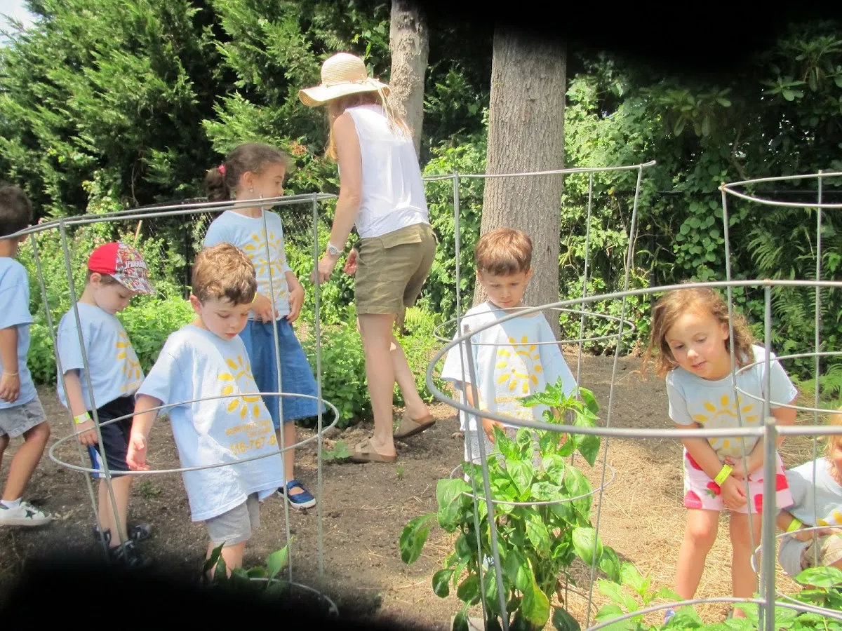 Berkowitz Gan Israel Day Camp — photo 7