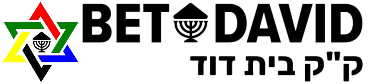 Bet David Progressive Jewish Congregation — foto 10