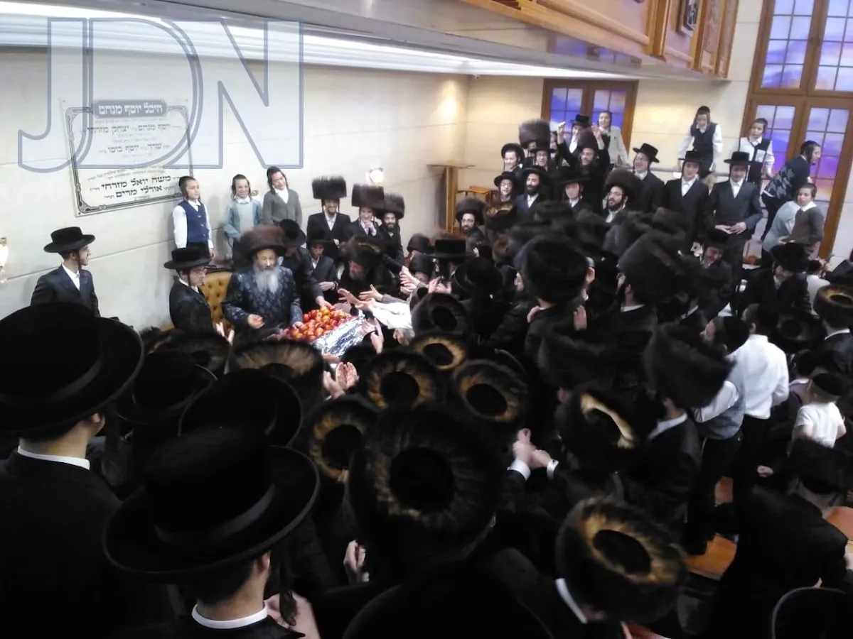 Bet Hamidrash Kahal Jaredim — photo 10