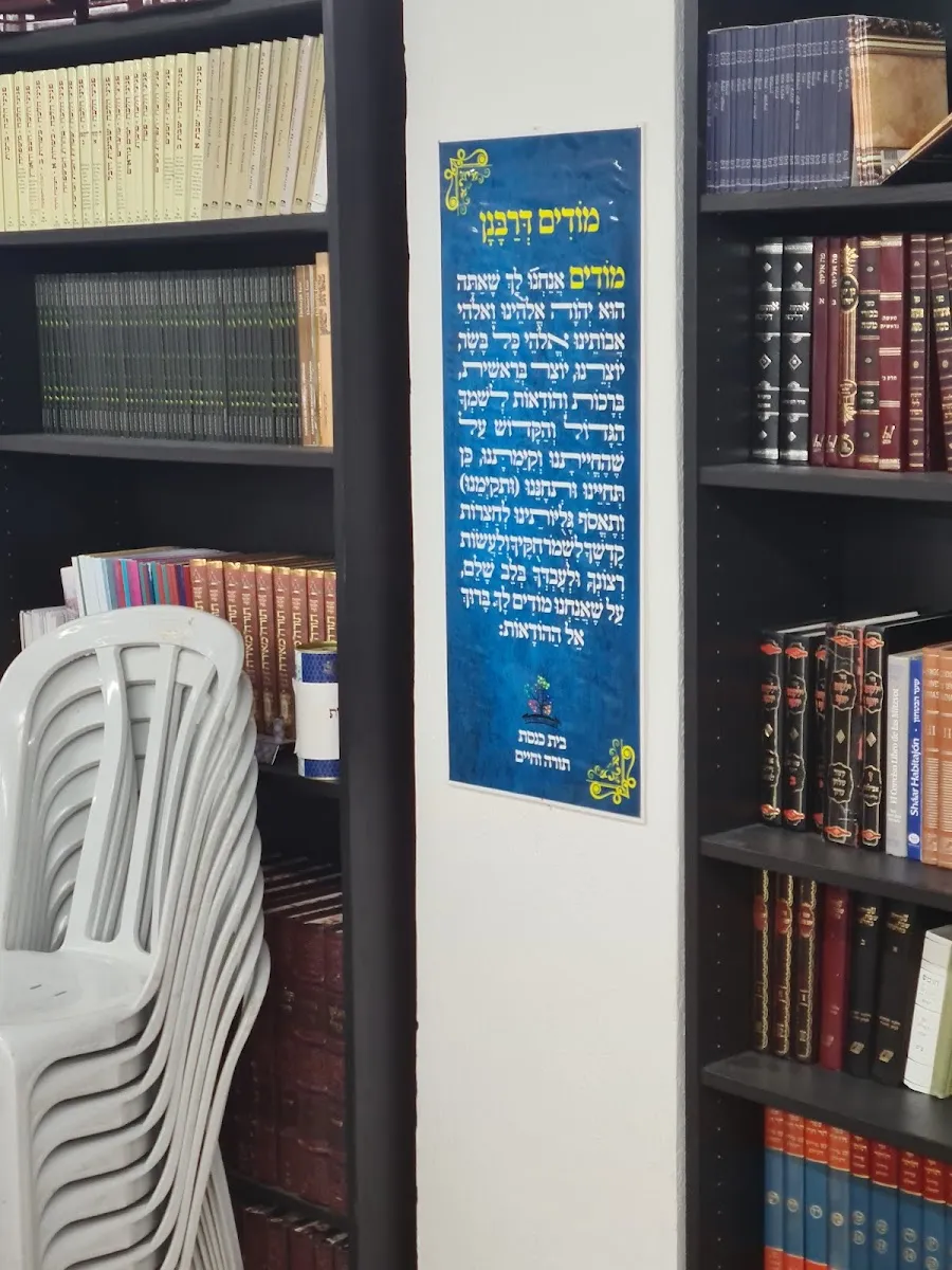 Bet Midrash Sifte Cohen — photo 7