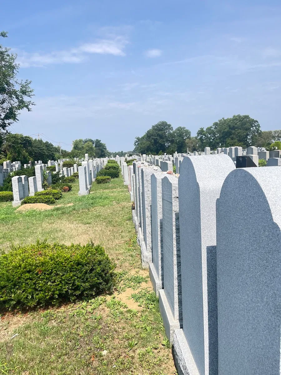 Beth David Cemetery — photo 8