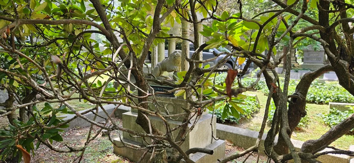 Beth-El Cemeteries — photo 8
