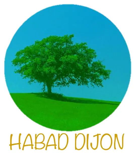 BETH HABAD DIJON — photo 7