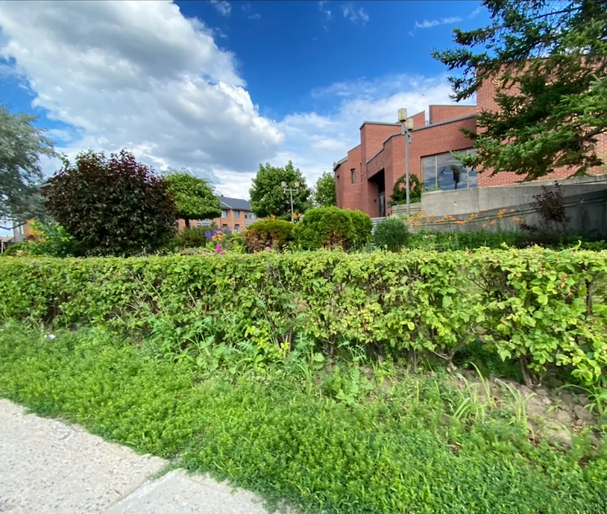 Beth Israël Beth Aaron Congregation of Cote St-Luc — foto 5