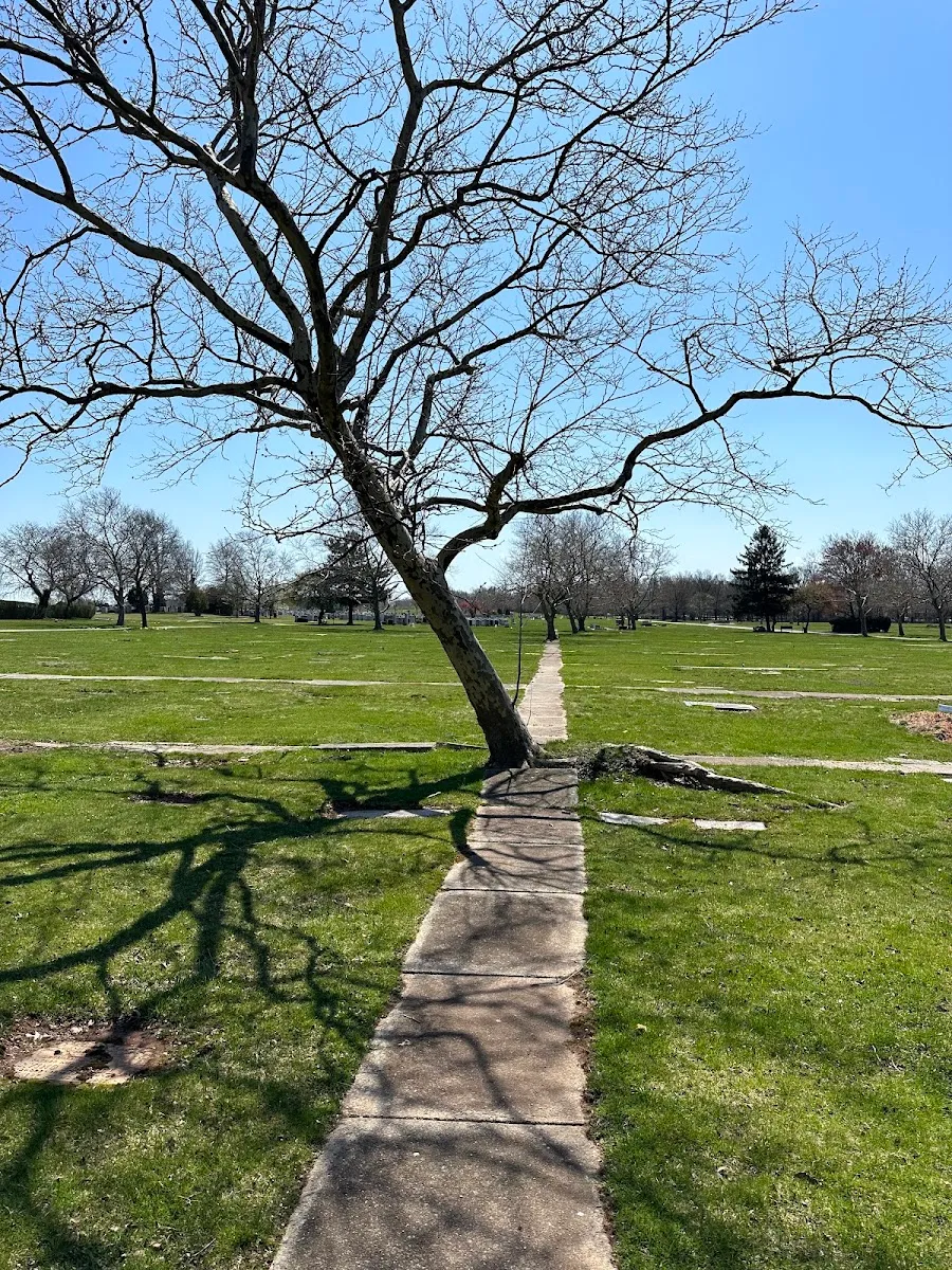 Beth Israel Cemetery — foto 9