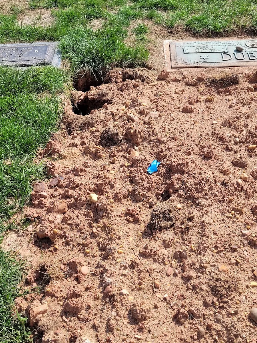 Beth Israel Cemetery — foto 10