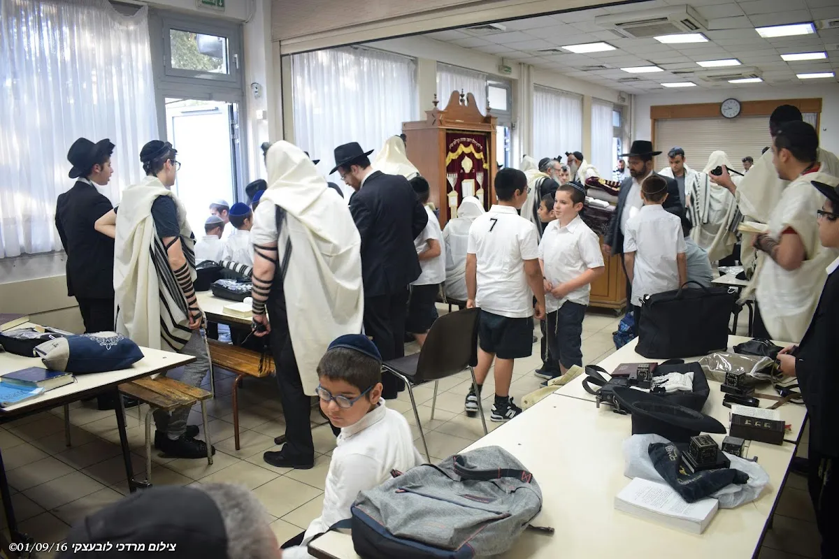 Beth Loubavitch Flandre — photo 4