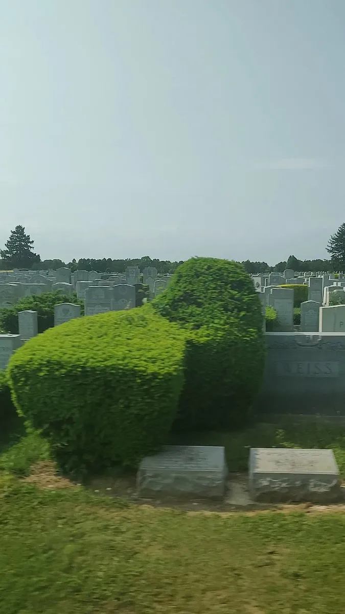 Beth Moses Cemetery — photo 2