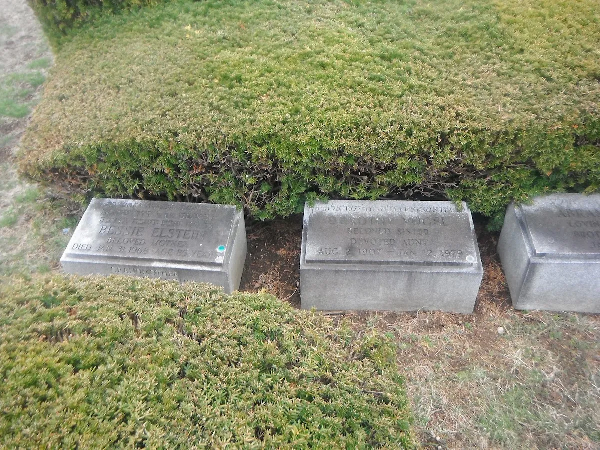 Beth Moses Cemetery — photo 5