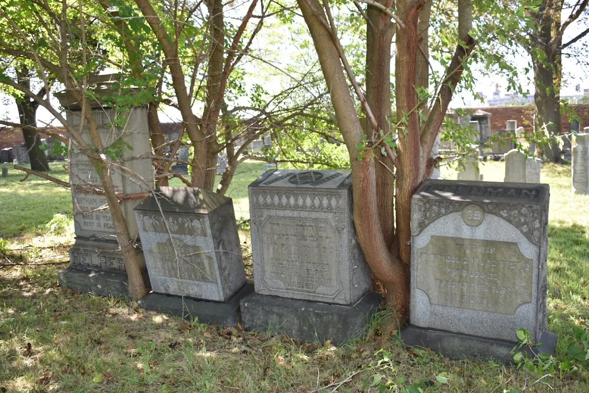 Beth Olem Cemetery — foto 9