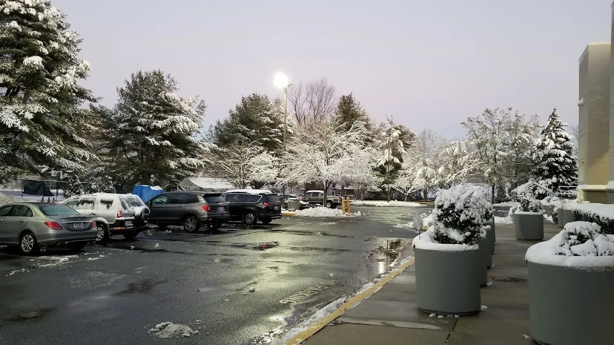 Beth Sholom Congregation and Talmud Torah — foto 3