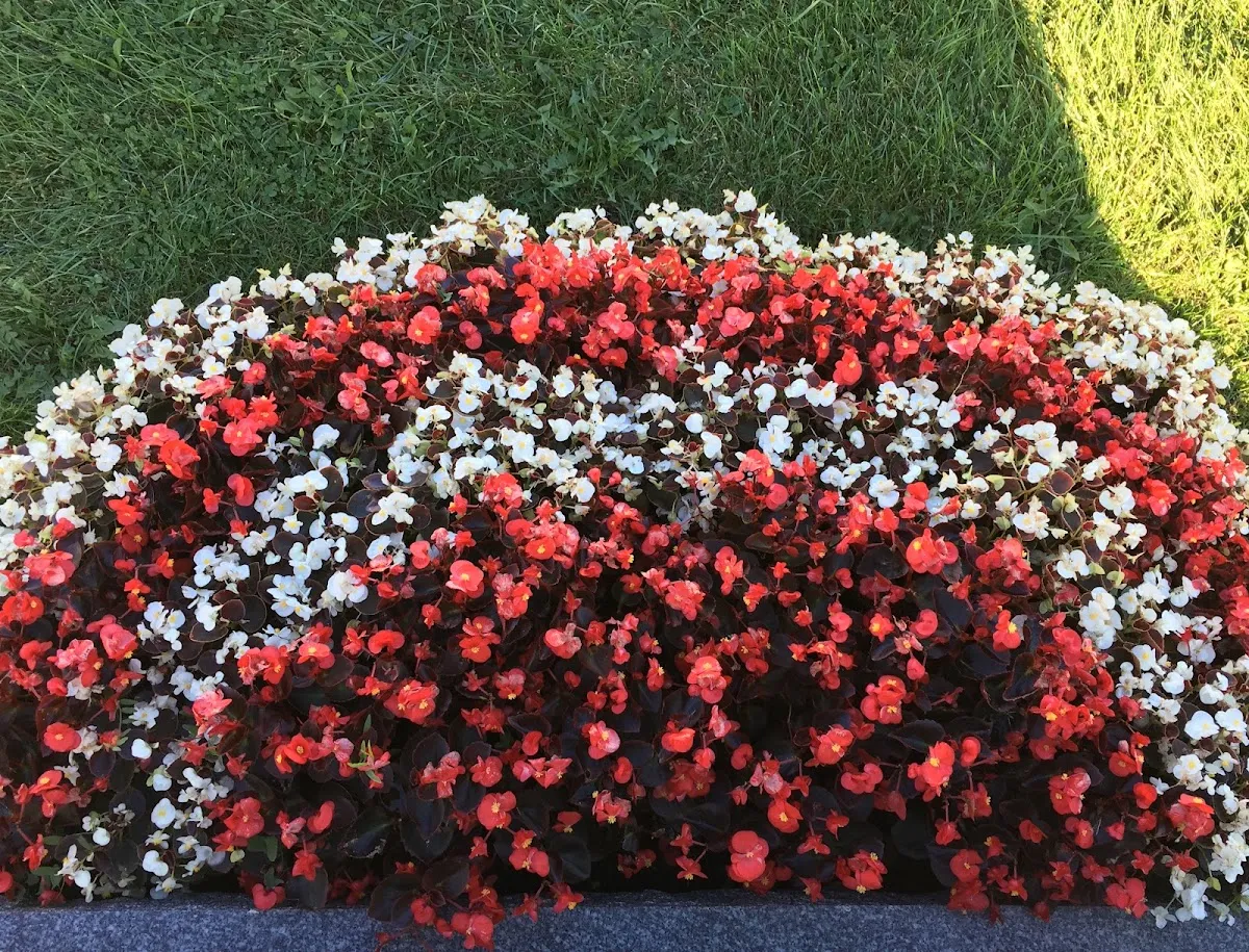 Beth Tzedec Memorial Park — foto 2