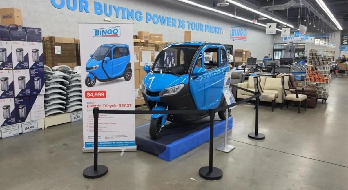 Bingo Wholesale — foto 4
