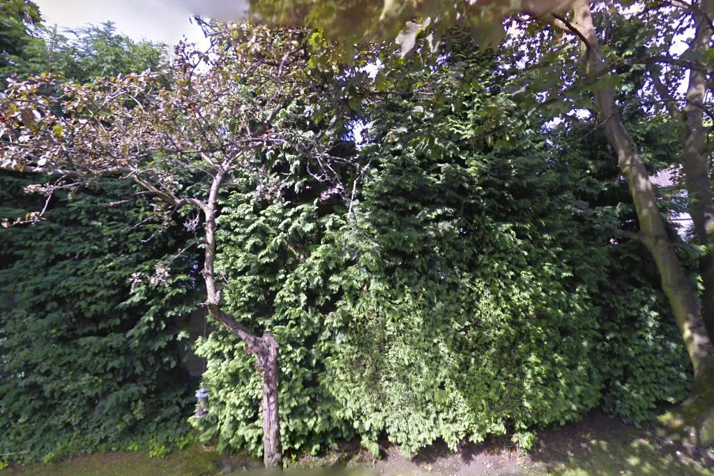 Birmingham Community Mikvah — photo 2