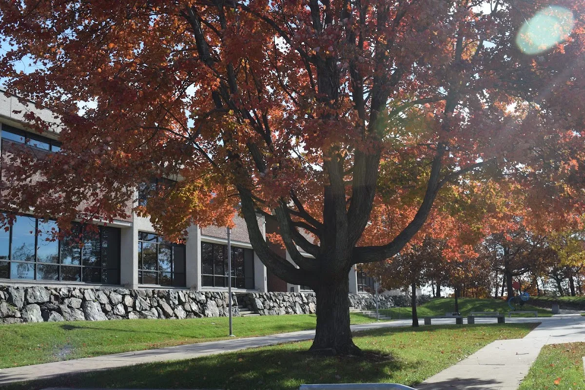 BJEP, the Jewish Sunday school with all-Brandeis student teachers