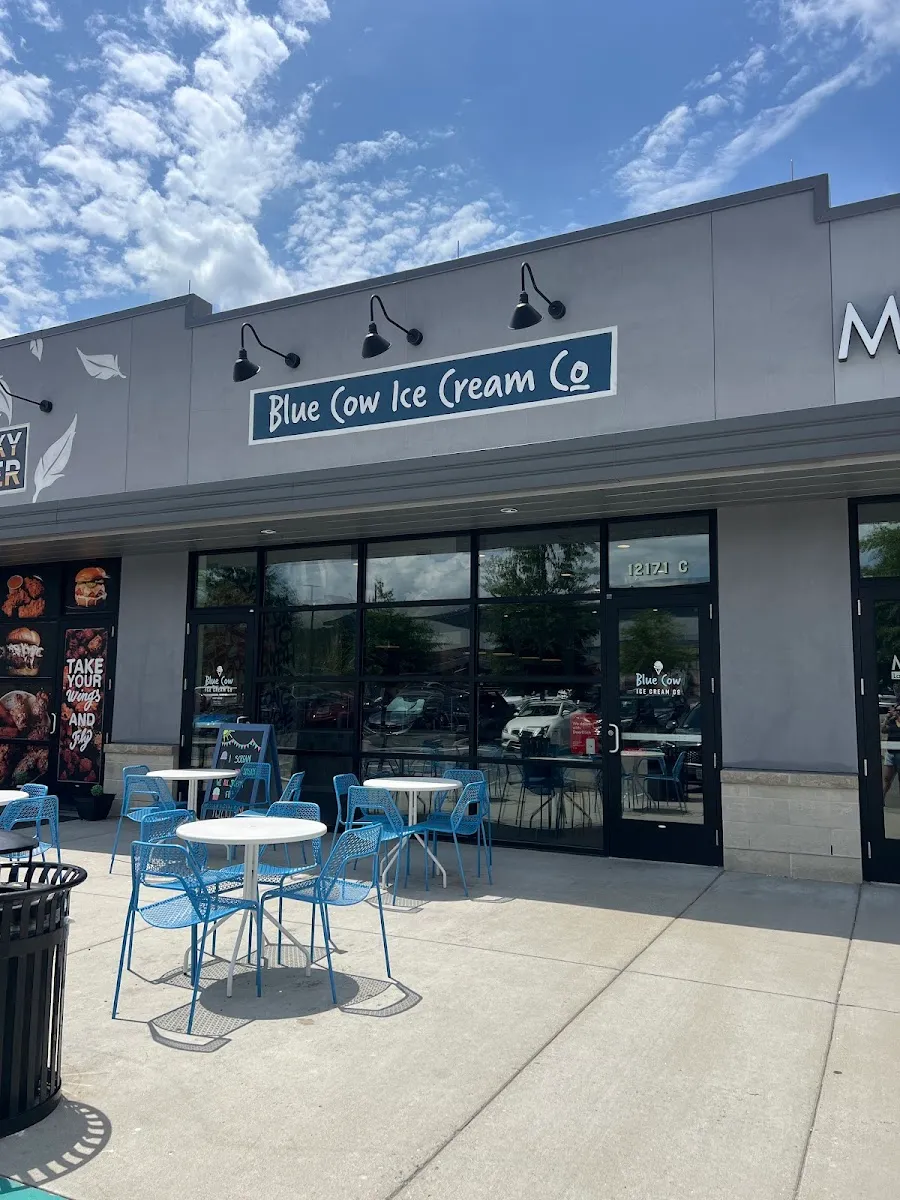 Blue Cow Ice Cream Co. (Village Shopping Center)