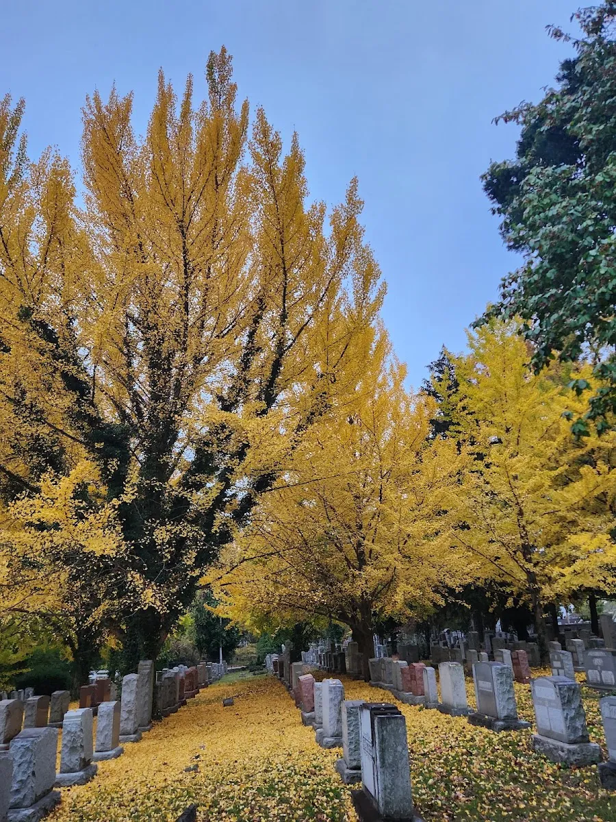 Bnai Amoona Cemetery