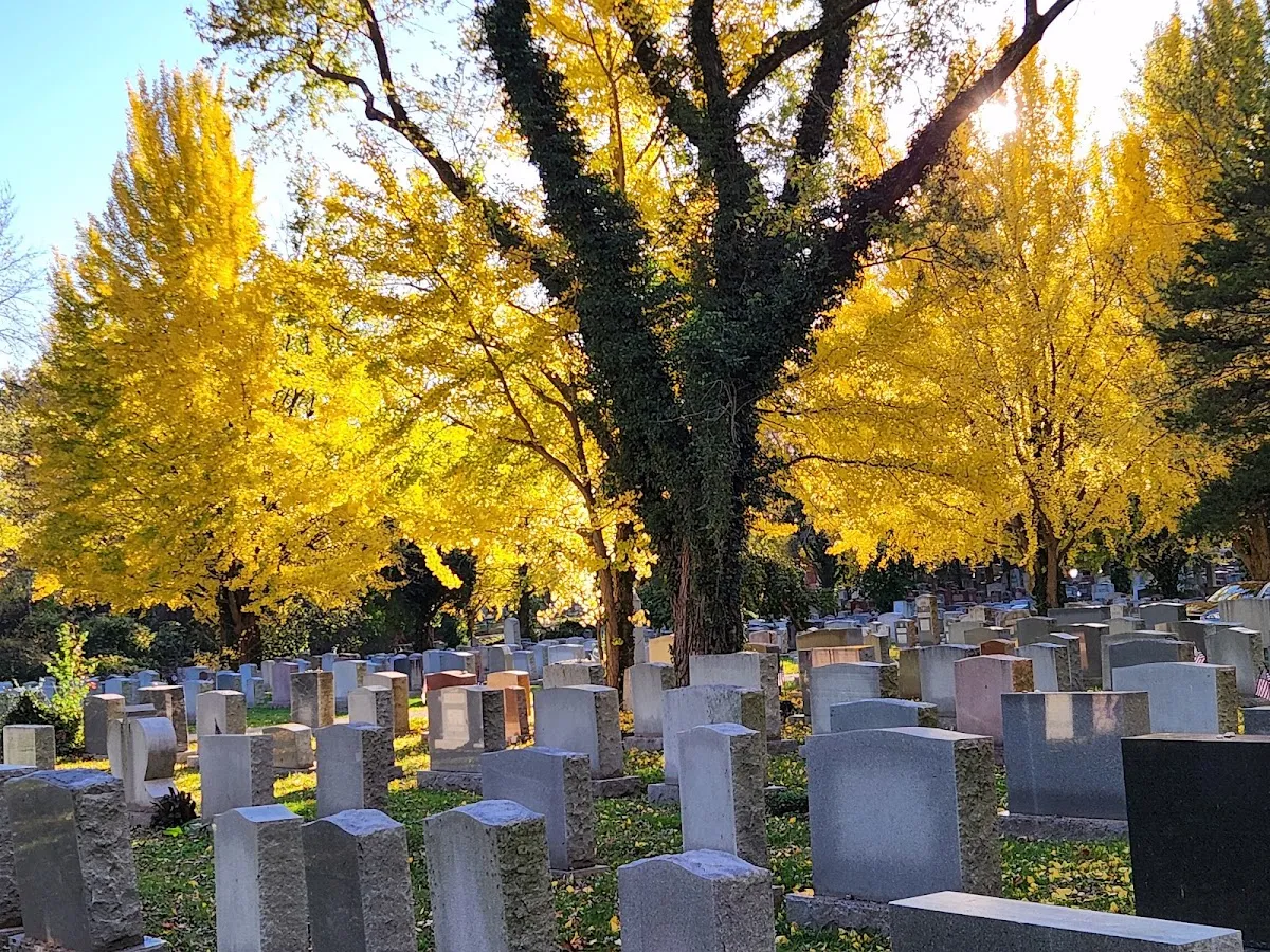 Bnai Amoona Cemetery — foto 2