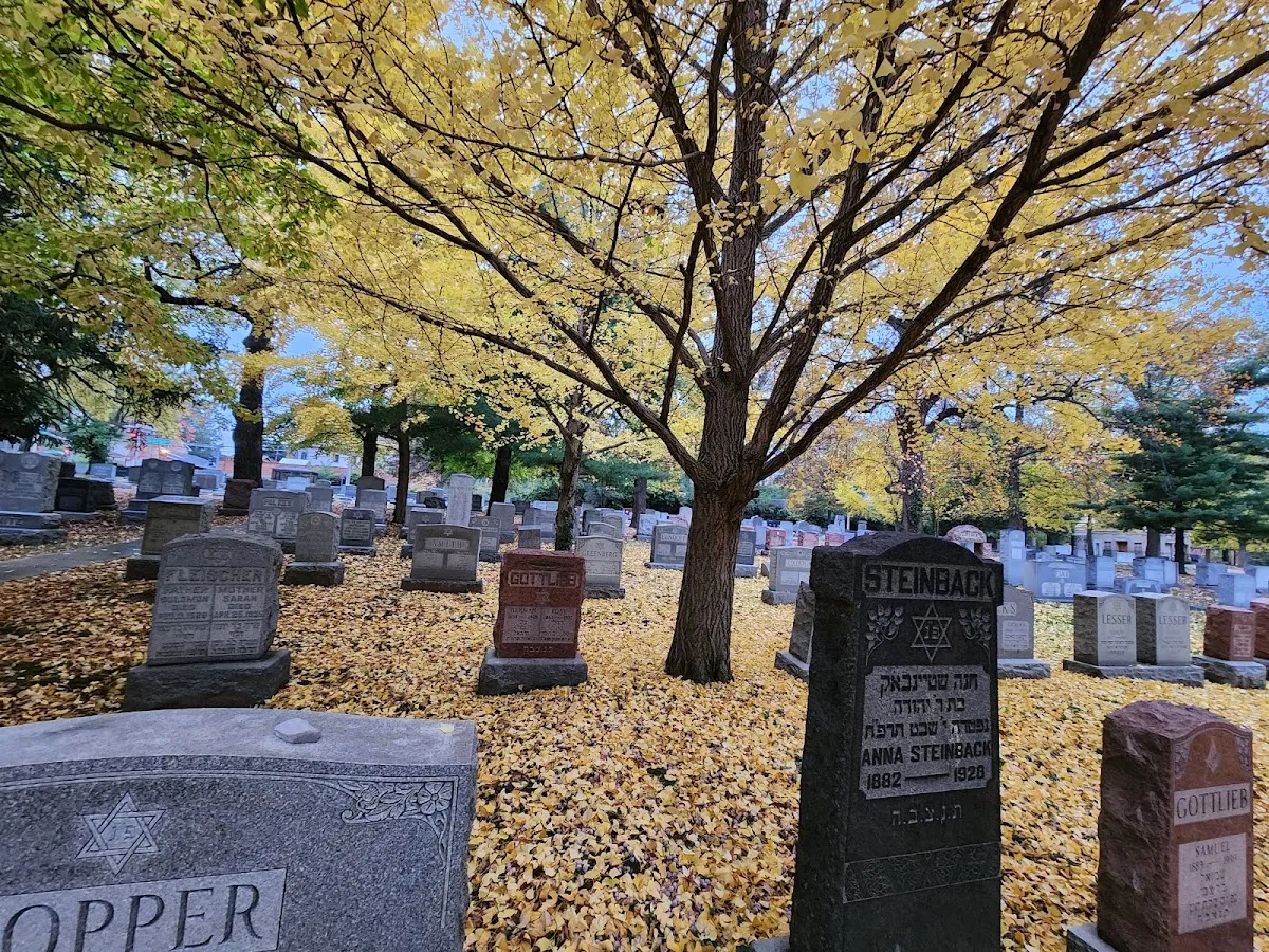 Bnai Amoona Cemetery — foto 3