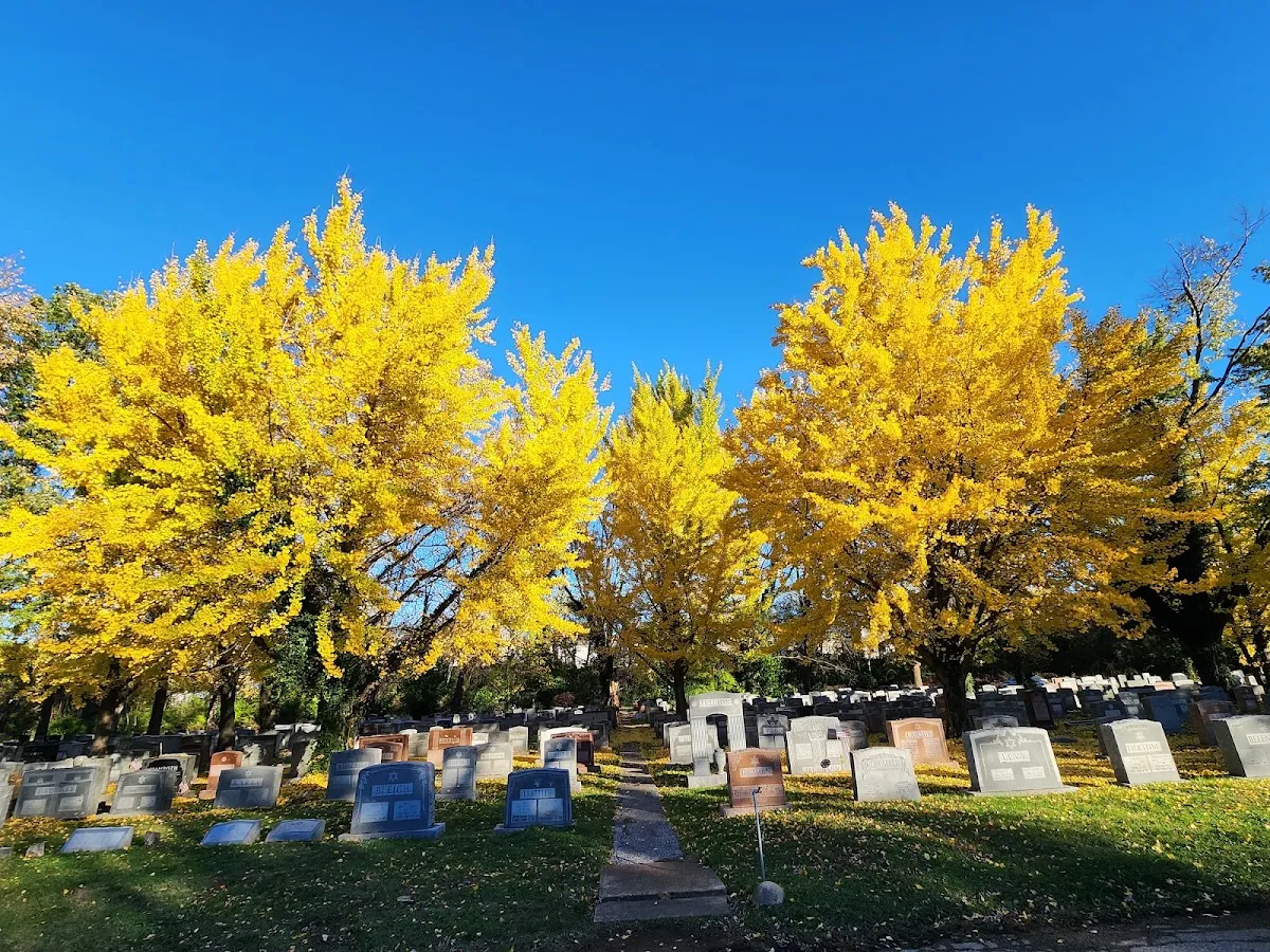 Bnai Amoona Cemetery — foto 5