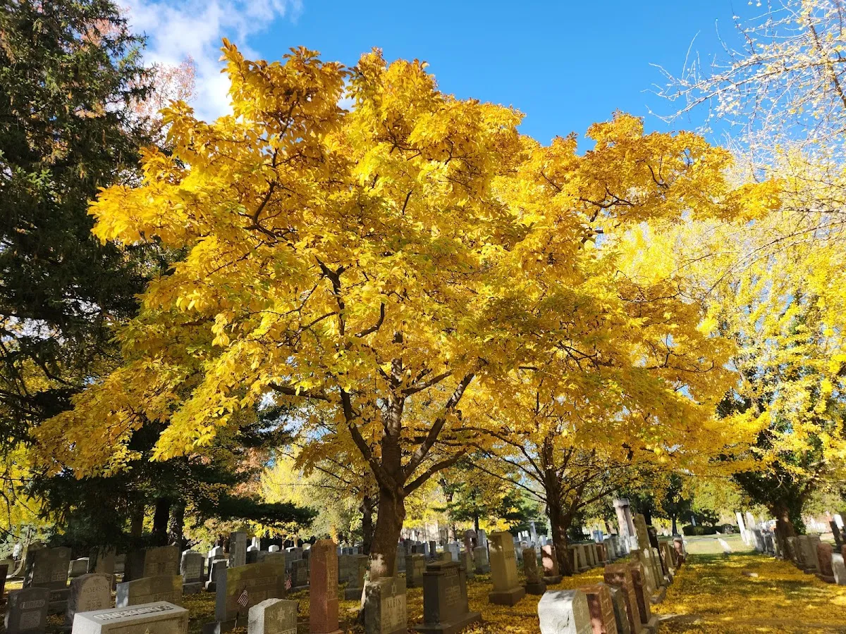 Bnai Amoona Cemetery — foto 7